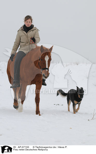 Frau reitet Deutsches Reitpony / woman rides pony / AP-07193