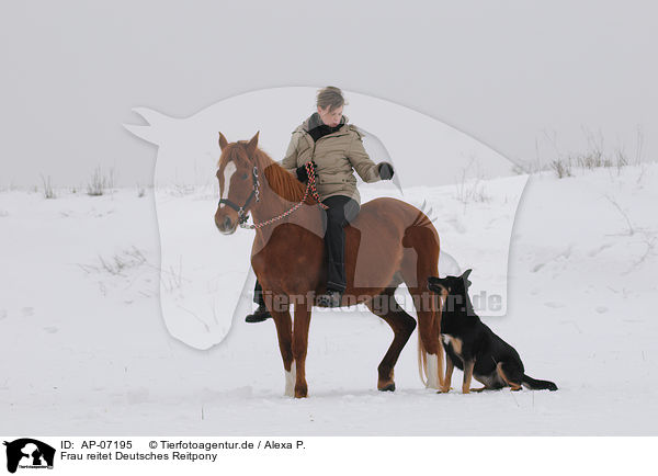 Frau reitet Deutsches Reitpony / woman rides pony / AP-07195