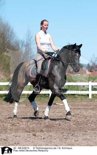Frau reitet Deutsches Reitpony / woman rides pony / NS-02814