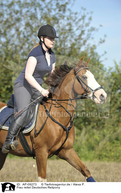 Frau reitet Deutsches Reitpony / woman rides pony / AP-09273
