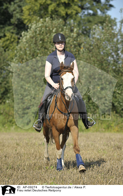 Frau reitet Deutsches Reitpony / woman rides pony / AP-09274