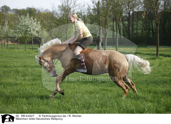 Mdchen reitet Deutsches Reitpony / girl rides pony / RR-42827
