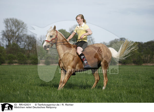 Mdchen reitet Deutsches Reitpony / girl rides pony / RR-42831