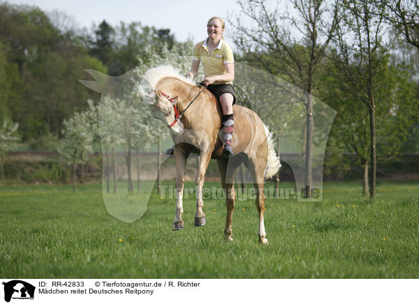 Mdchen reitet Deutsches Reitpony / girl rides pony / RR-42833