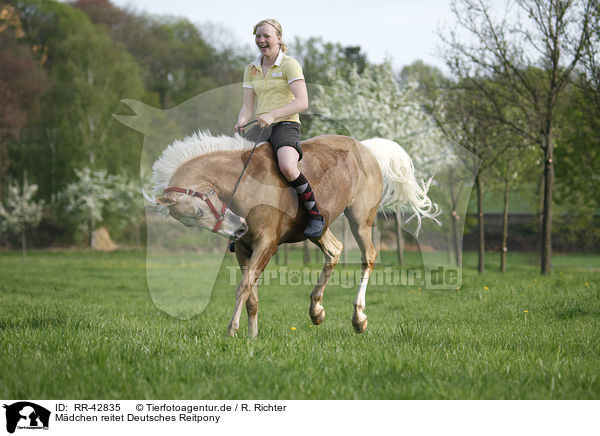 Mdchen reitet Deutsches Reitpony / girl rides pony / RR-42835