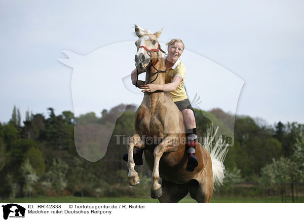 Mdchen reitet Deutsches Reitpony / girl rides pony / RR-42838