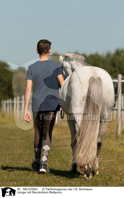 Junge mit Deutschem Reitpony / boy with pony / NS-03564