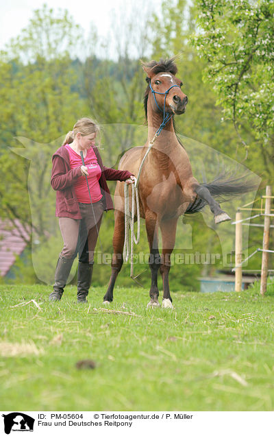 Frau und Deutsches Reitpony / woman and German Riding Pony / PM-05604