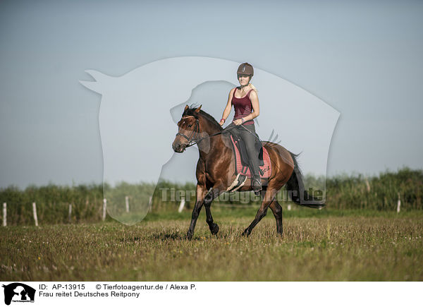 Frau reitet Deutsches Reitpony / woman rides German Riding Pony / AP-13915