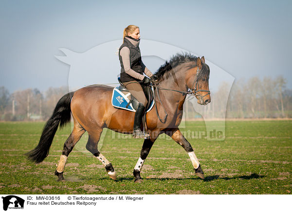 Frau reitet Deutsches Reitpony / woman rides German Riding Pony / MW-03616