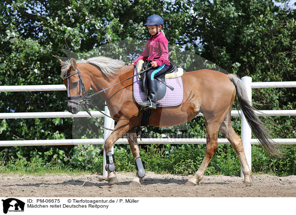 Mdchen reitet Deutsches Reitpony / girl rides German Riding Pony / PM-06675