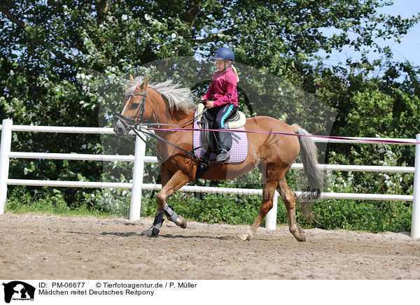 Mdchen reitet Deutsches Reitpony / PM-06677