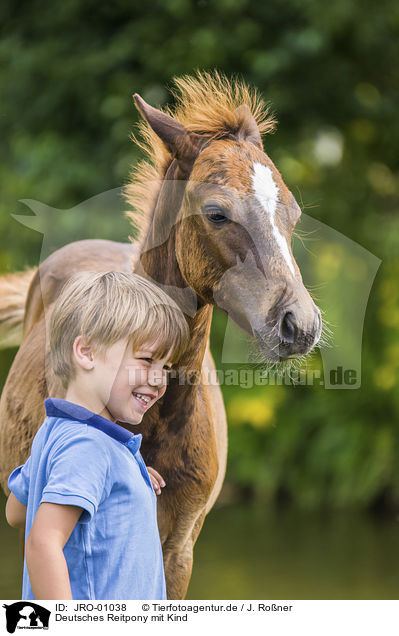 Deutsches Reitpony mit Kind / JRO-01038