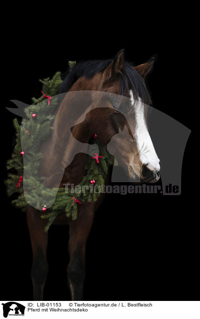 Pferd mit Weihnachtsdeko / LIB-01153