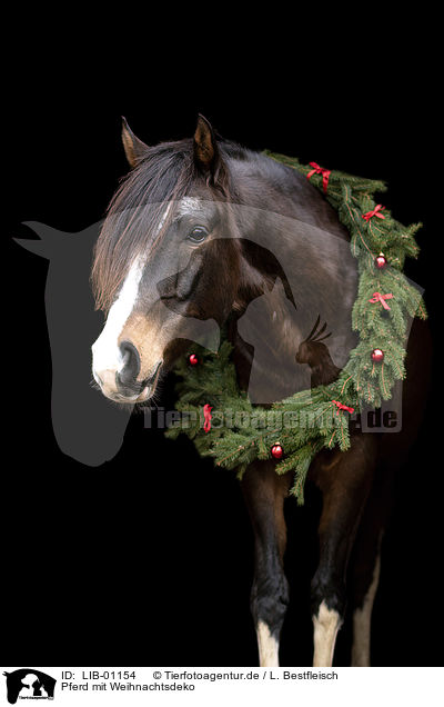 Pferd mit Weihnachtsdeko / LIB-01154