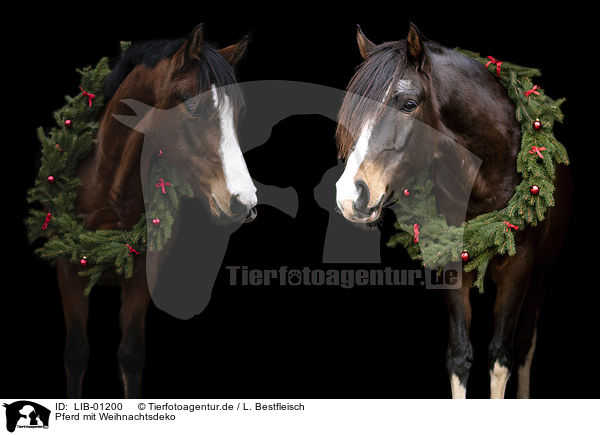 Pferd mit Weihnachtsdeko / LIB-01200