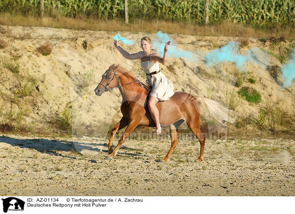 Deutsches Reitpony mit Holi Pulver / German Riding Pony with holy powder / AZ-01134