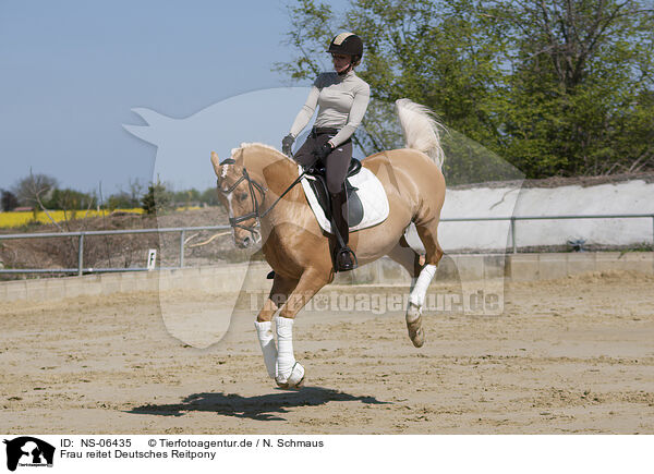 Frau reitet Deutsches Reitpony / woman rides German Riding Pony / NS-06435