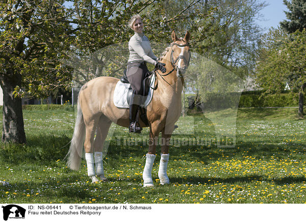 Frau reitet Deutsches Reitpony / woman rides German Riding Pony / NS-06441