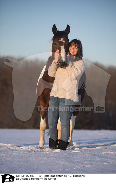 Deutsches Reitpony im Winter / German Riding Pony in winter / LH-02557