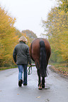 junge Frau mit Pferd