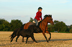 Frau reitet Deutsches Reitpony