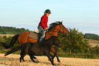 Frau reitet Deutsches Reitpony