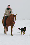 Frau reitet Deutsches Reitpony