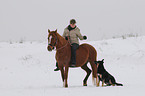 Frau reitet Deutsches Reitpony