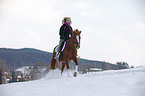 Deutsches Reitpony