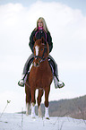 Deutsches Reitpony