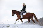 Deutsches Reitpony