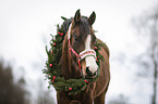 Pferd mit Weihnachtsdeko