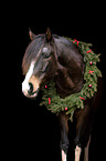 Pferd mit Weihnachtsdeko