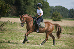 junge Frau reitet Deutsches Reitpony