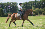 junge Frau reitet Deutsches Reitpony