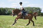 junge Frau reitet Deutsches Reitpony