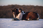 Deutsches Reitpony im Winter