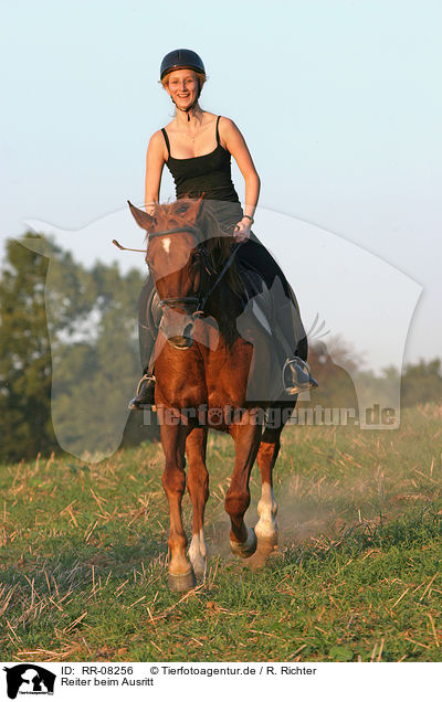 Reiter beim Ausritt / Leisure rider / RR-08256