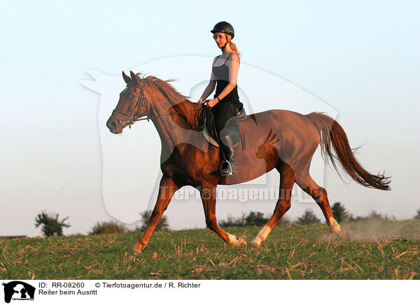 Reiter beim Ausritt / Leisure rider / RR-08260