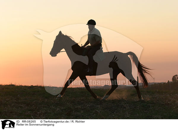 Reiter im Sonnenuntergang / Leisure rider / RR-08265