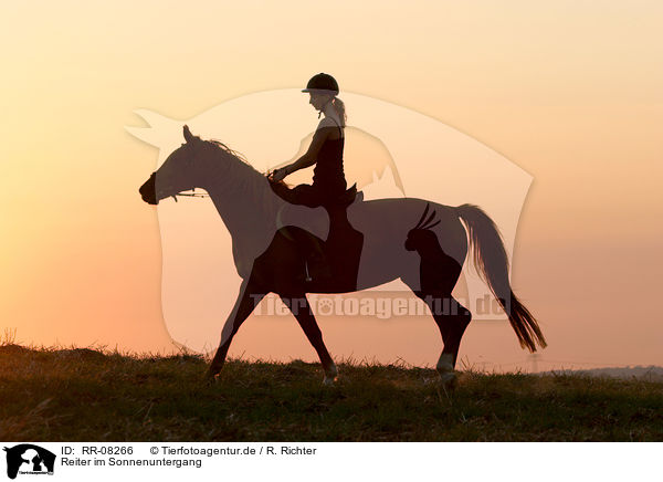 Reiter im Sonnenuntergang / Leisure rider / RR-08266