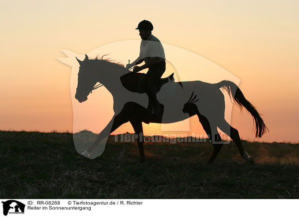 Reiter im Sonnenuntergang / Leisure rider / RR-08268