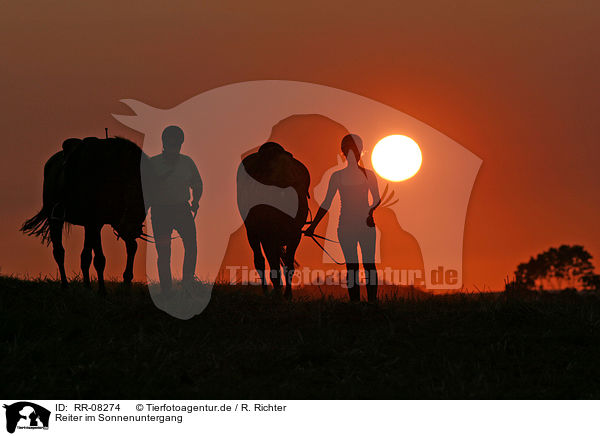 Reiter im Sonnenuntergang / Leisure rider / RR-08274