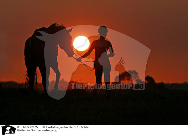 Reiter im Sonnenuntergang / riding in sundown / RR-08275