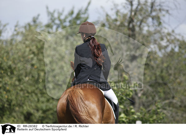 Reiterin auf Deutschem Sportpferd / riding woman / RR-28382