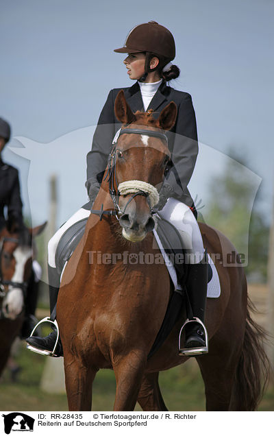 Reiterin auf Deutschem Sportpferd / RR-28435