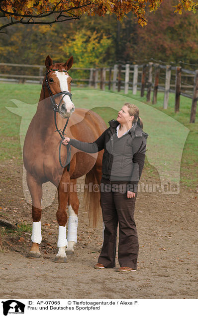 Frau und Deutsches Sportpferd / woman and warmblood / AP-07065