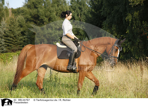 Freizeitreiten / riding woman / RR-34767