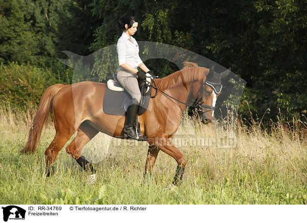 Freizeitreiten / riding woman / RR-34769